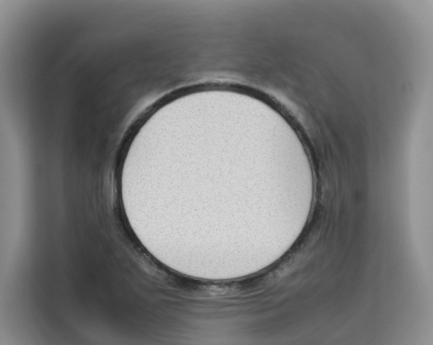 X0000113911271200910221326