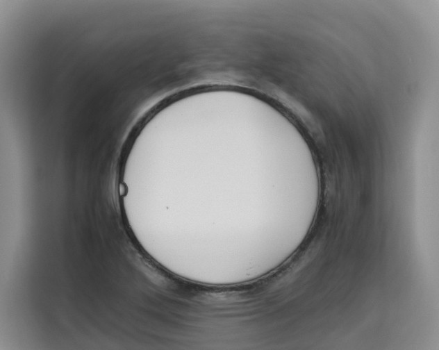 X0000113911272200910221326