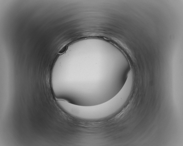 X0000113911273200910221326