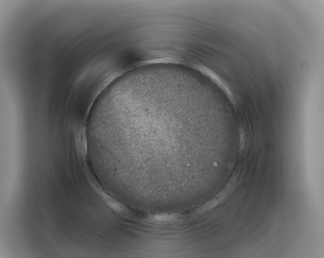 X0000113911274200910221326