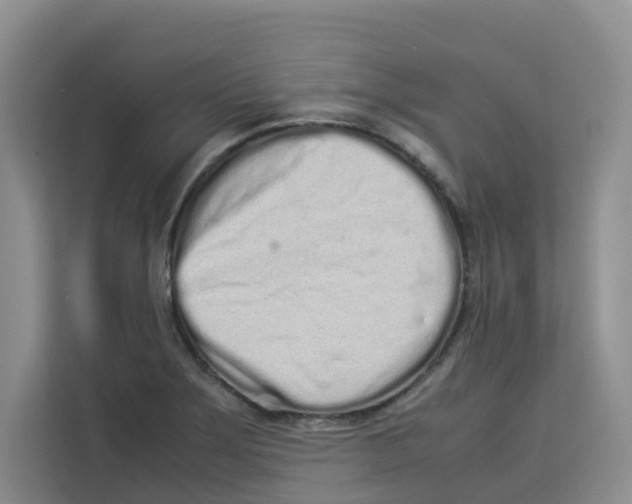 X0000113911275200910221326