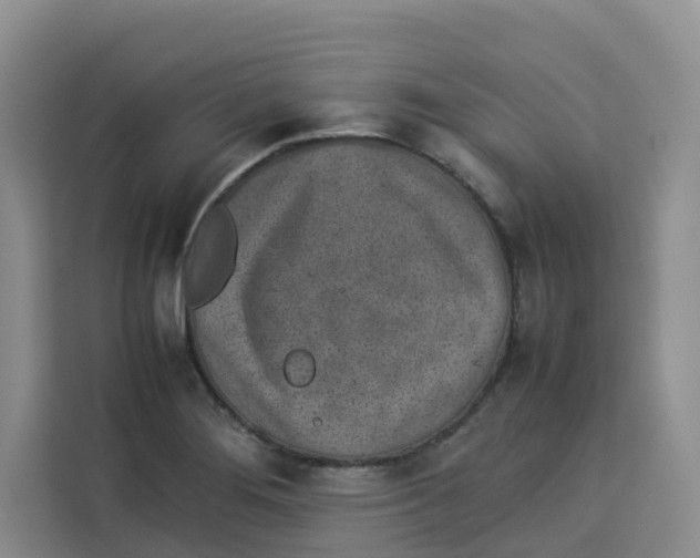 X0000113911276200910221326