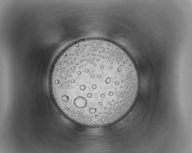 X0000113911278200910221326