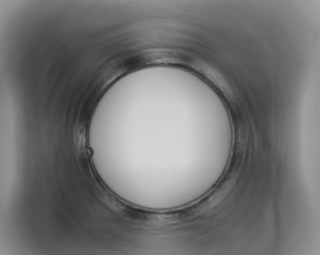 X0000113911281200910221326