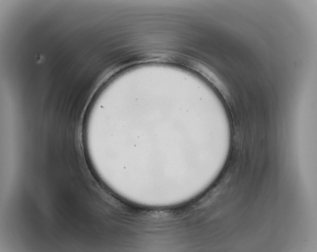 X0000113911283200910221326