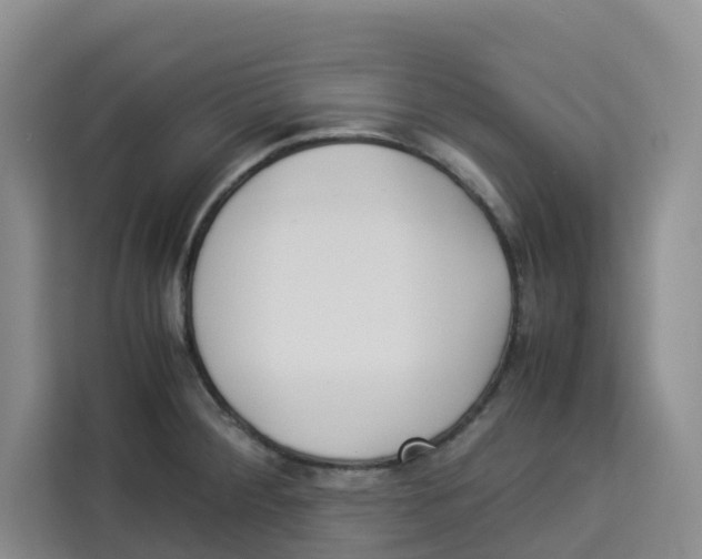 X0000113911284200910221326