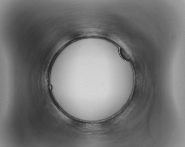 X0000113911285200910221326