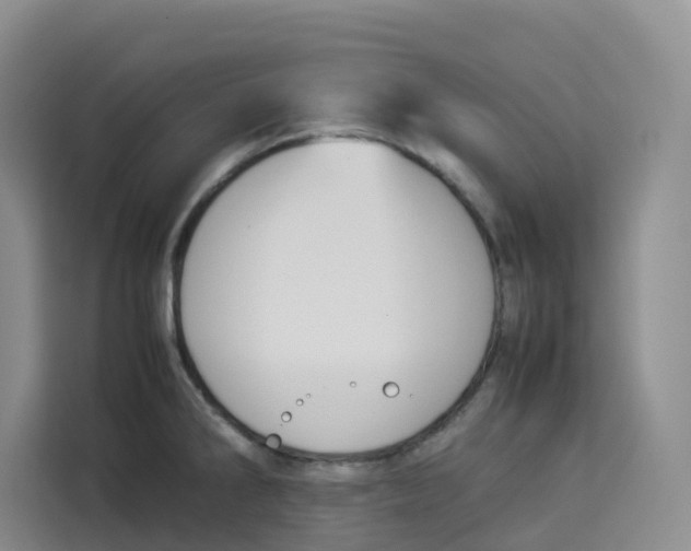 X0000113911286200910221326