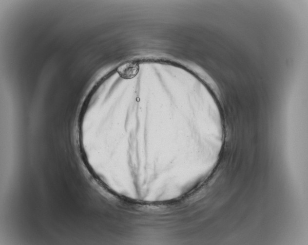 X0000113911287200910221326