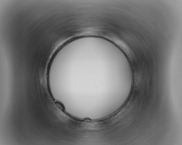 X0000113911288200910221326