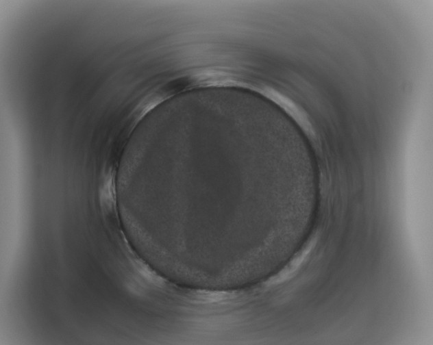 X0000113911289200910221326