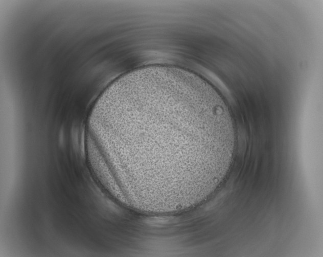 X0000113911290200910221326