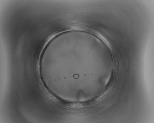 X0000113911291200910221326