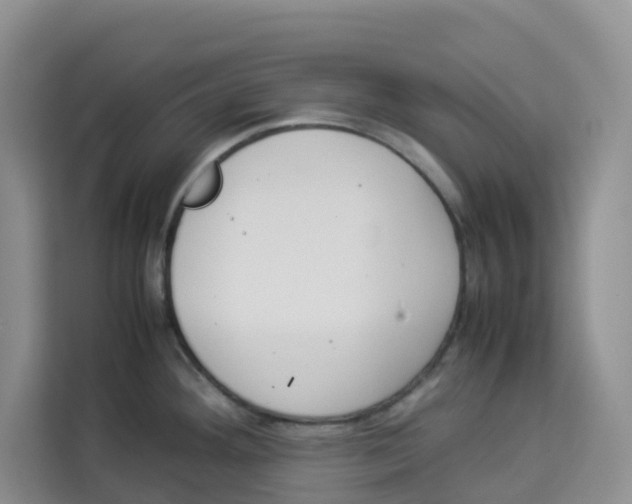 X0000113911292200910221326