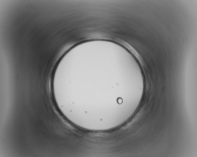 X0000113911293200910221326