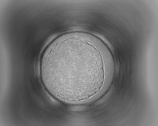 X0000113911294200910221326