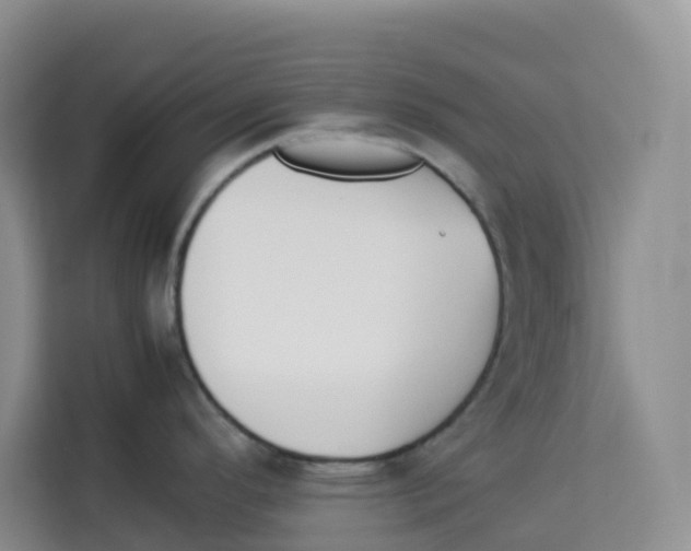 X0000113911296200910221326