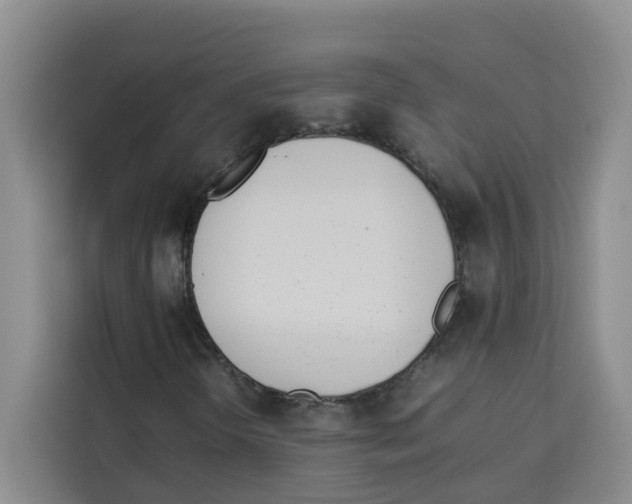 X0000113911298200910221325