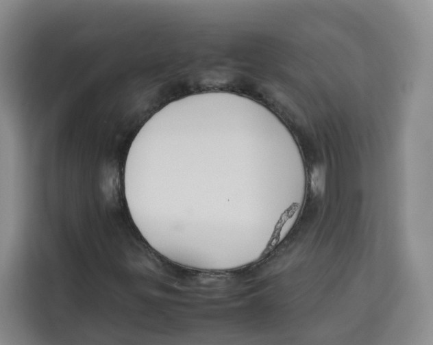 X0000113911299200910221325