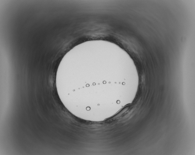 X0000113911300200910221325