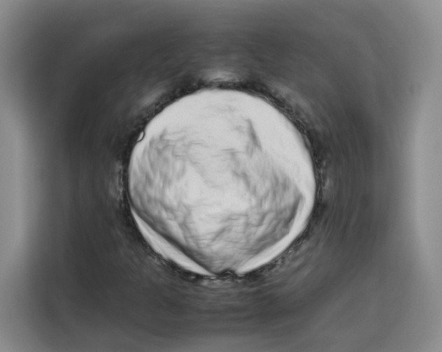 X0000113911301200910221325