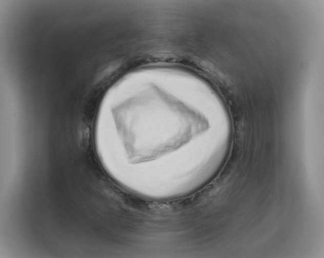 X0000113911302200910221325