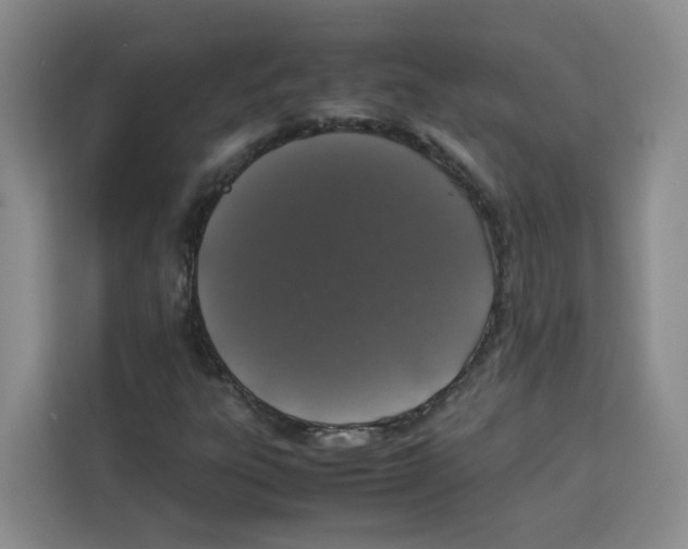 X0000113911303200910221325