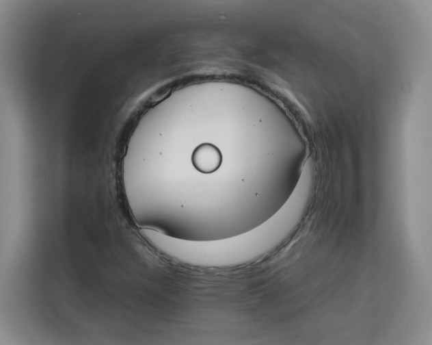 X0000113911304200910221325