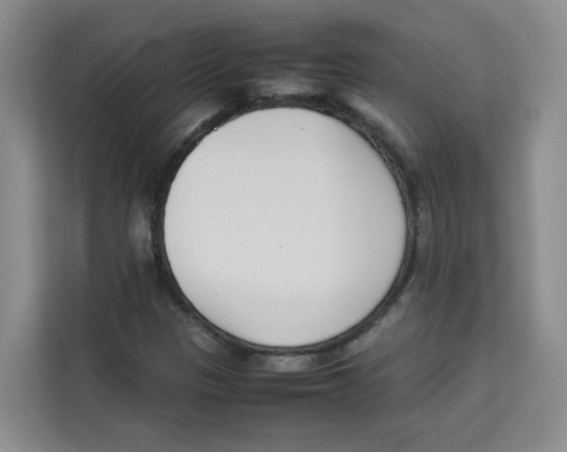 X0000113911305200910221325