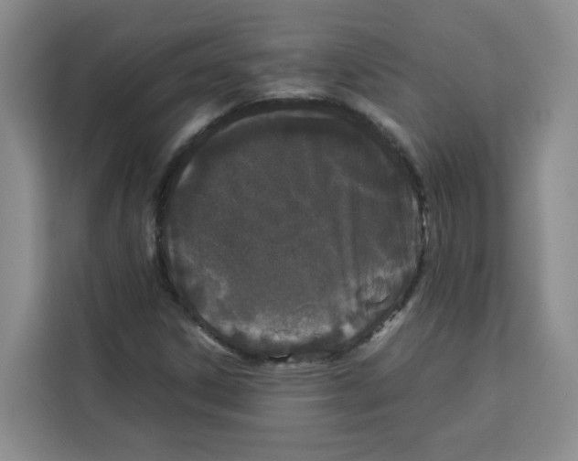 X0000113911306200910221325