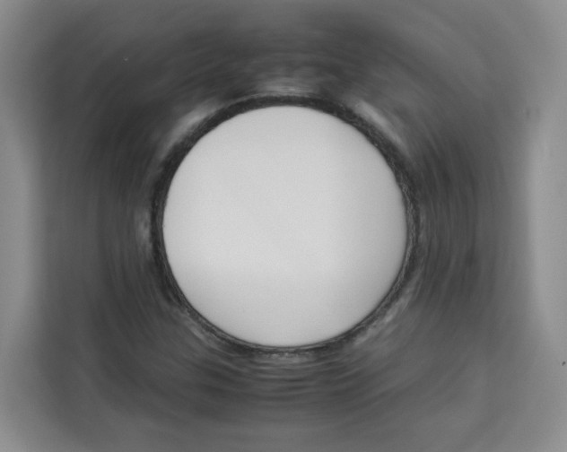 X0000113911307200910221325