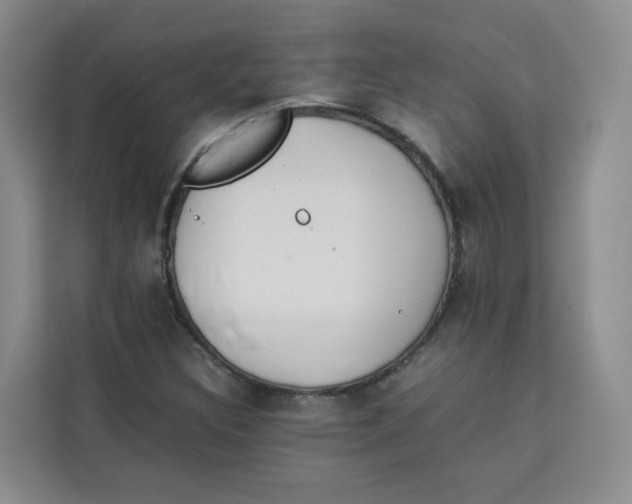 X0000113911308200910221325