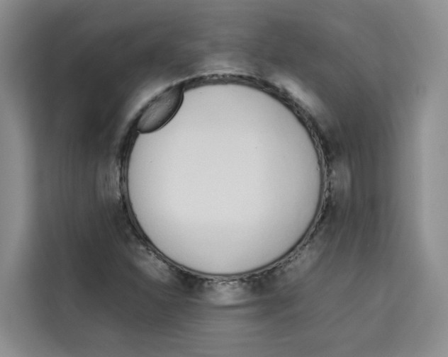 X0000113911310200910221325