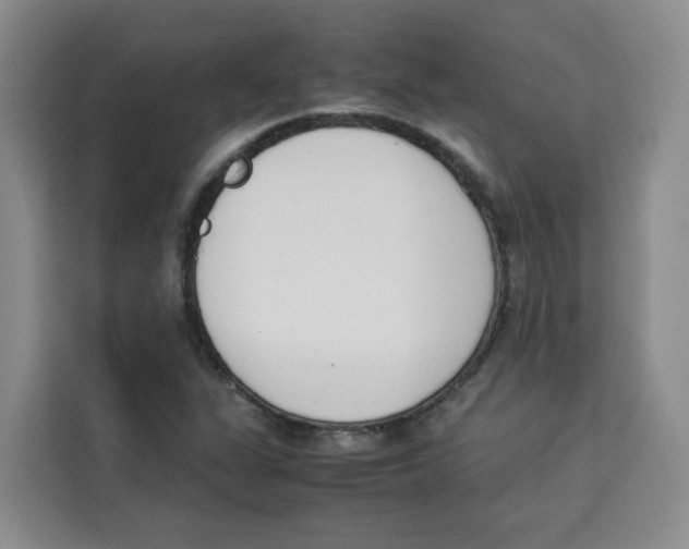 X0000113911311200910221325