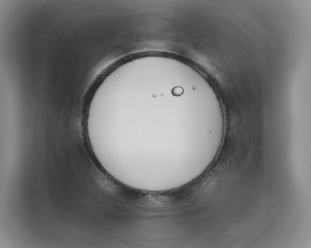 X0000113911312200910221325