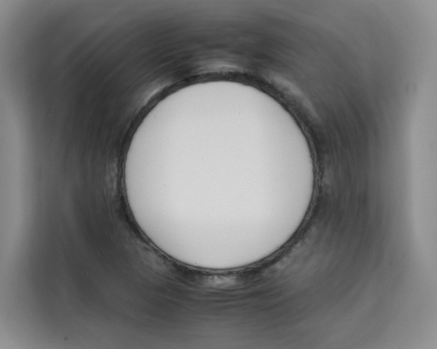 X0000113911313200910221325