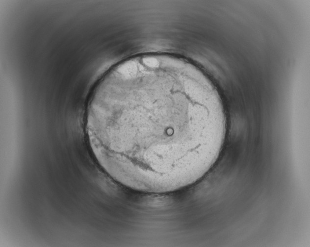 X0000113911314200910221325