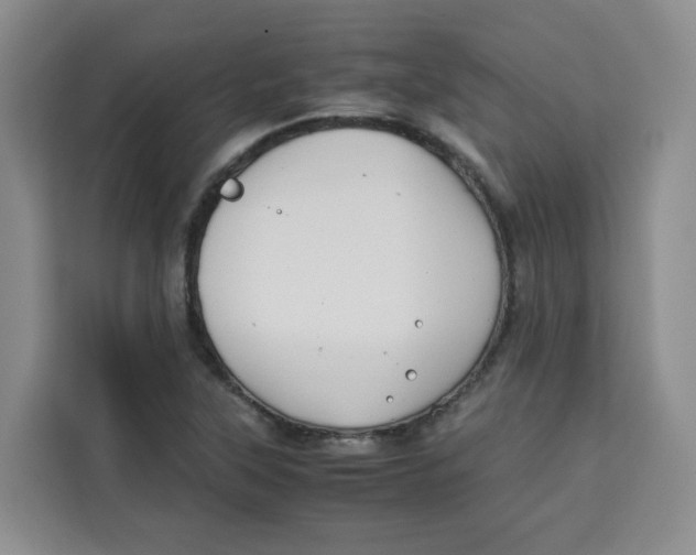 X0000113911315200910221325