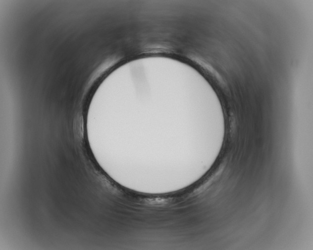 X0000113911317200910221325