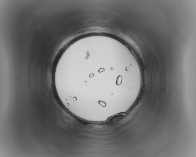 X0000113911318200910221325