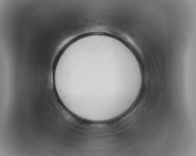 X0000113911320200910221325