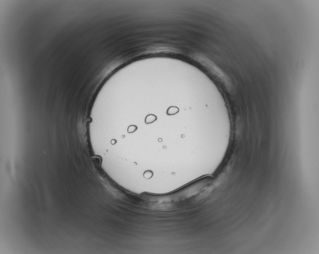 X0000113911321200910221325