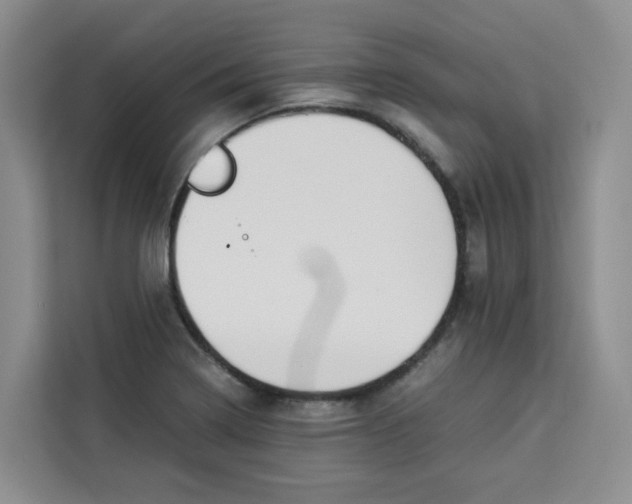 X0000113911322200910221325