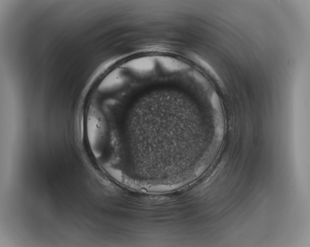 X0000113911323200910221325