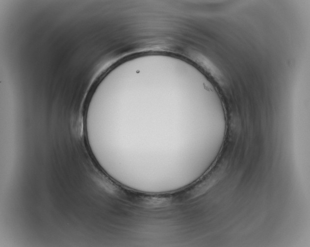 X0000113911324200910221325