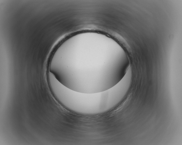 X0000113911326200910221326