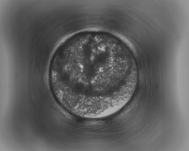 X0000113911327200910221326