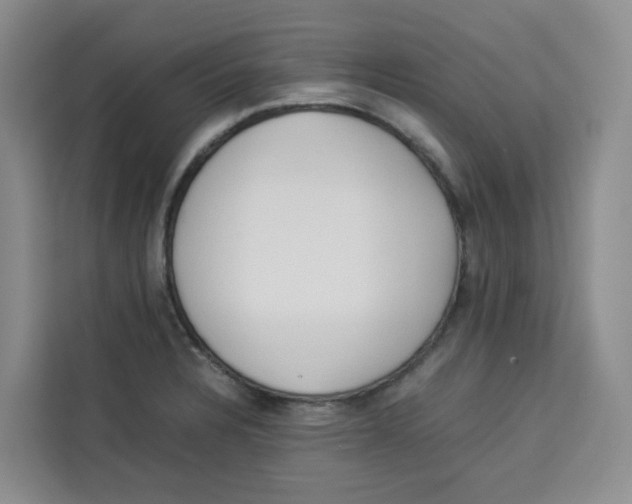 X0000113911328200910221326