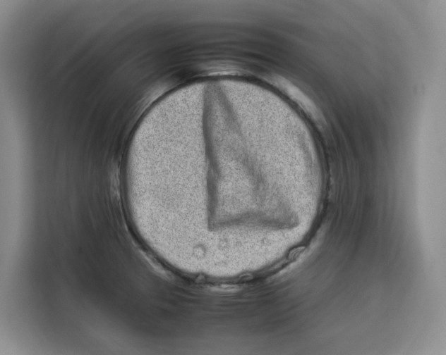 X0000113911329200910221326