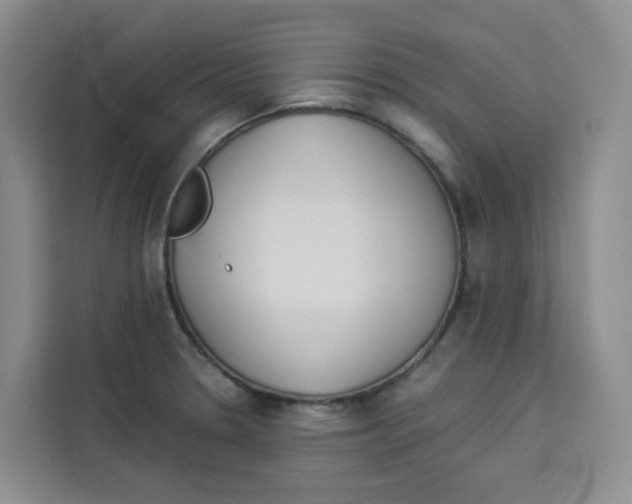 X0000113911330200910221326